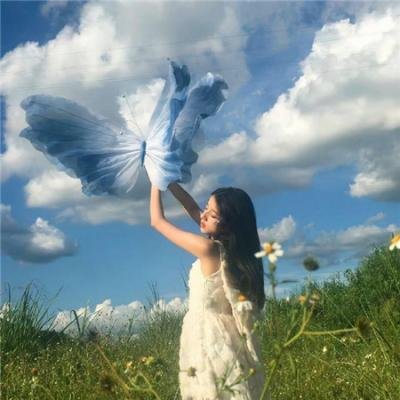暴风一族