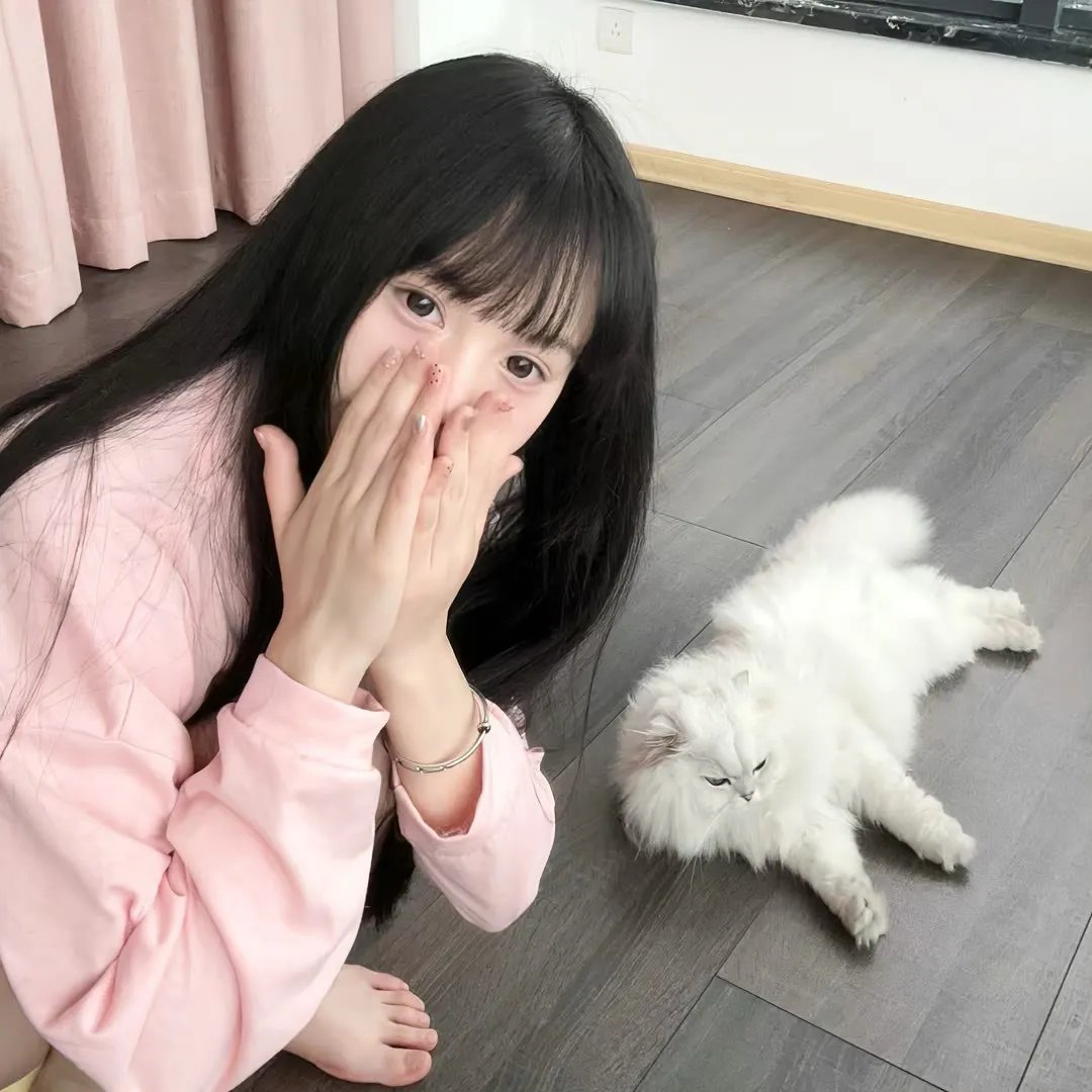 红色天网